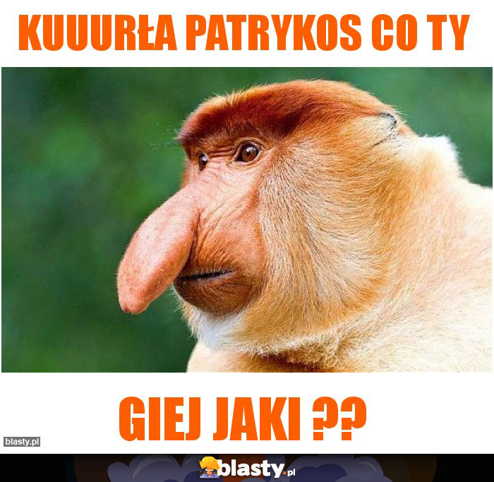 Kuuurła Patrykos co ty