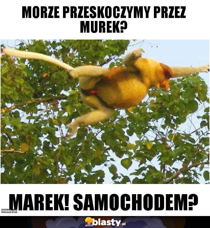 Morze przeskoczymy przez murek?