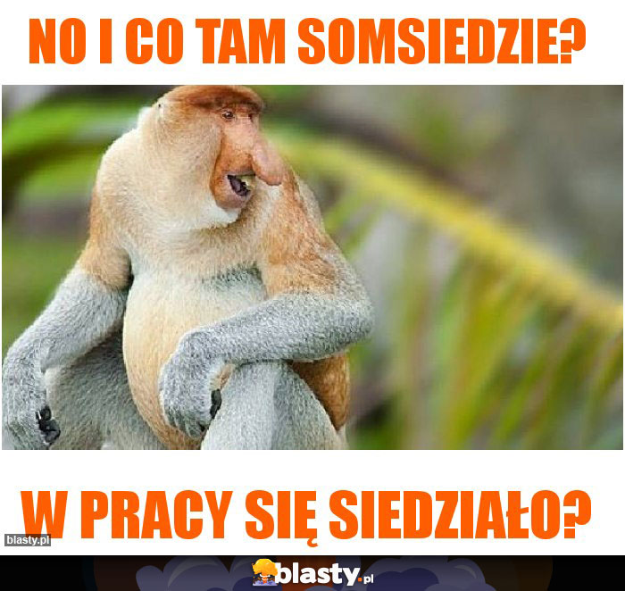 No i co tam somsiedzie?