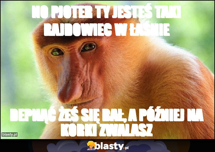 No pjoter ty jesteś taki rajdowiec w łaśnie