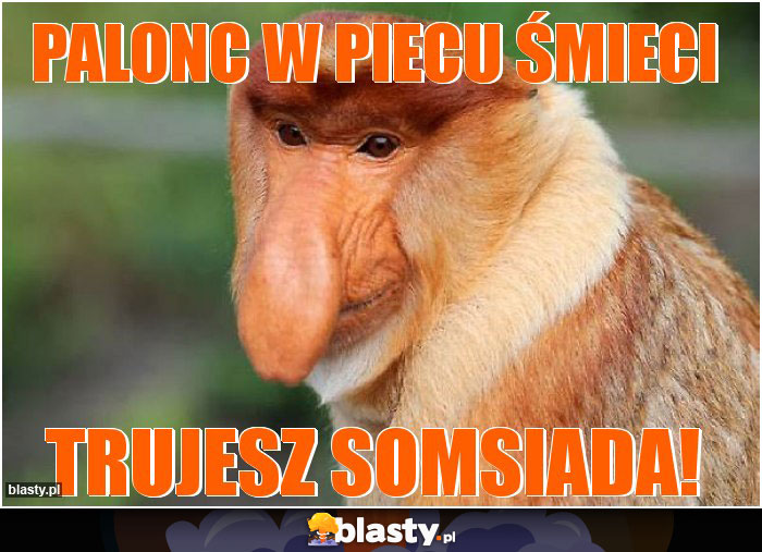 PALONC W PIECU ŚMIECI
