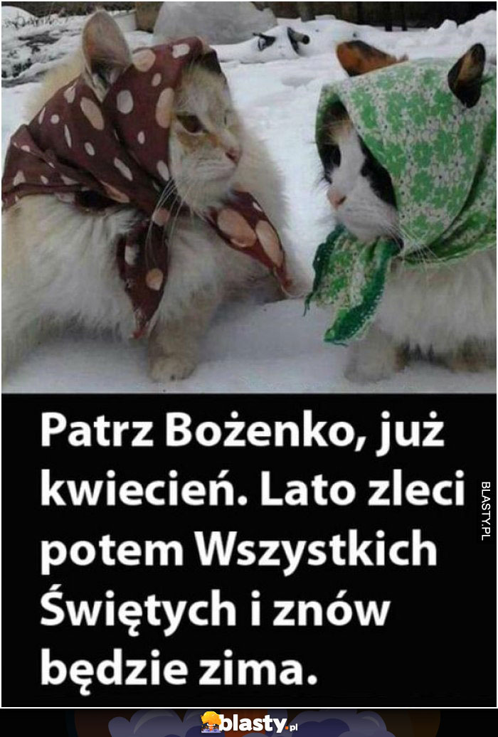 Patrz Bożenko