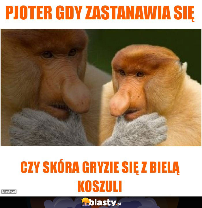 Pjoter gdy zastanawia się