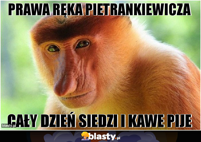 Prawa ręka Pietrankiewicza