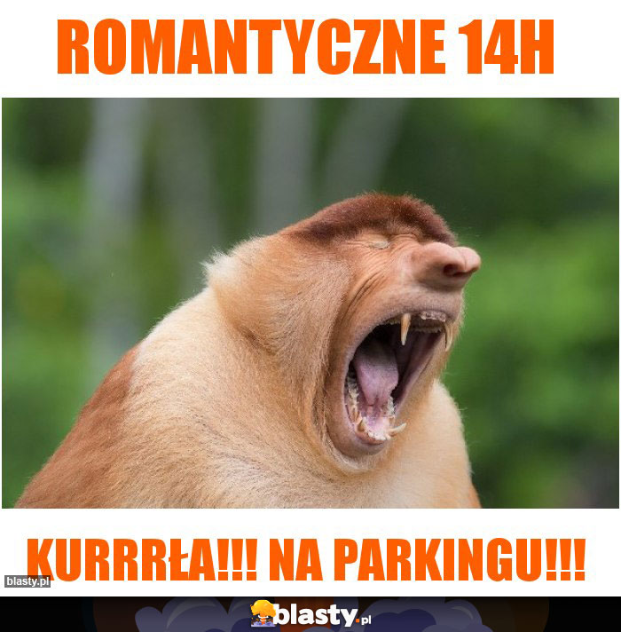 Romantyczne 14h