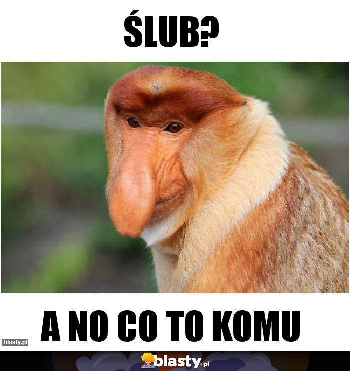 Ślub?