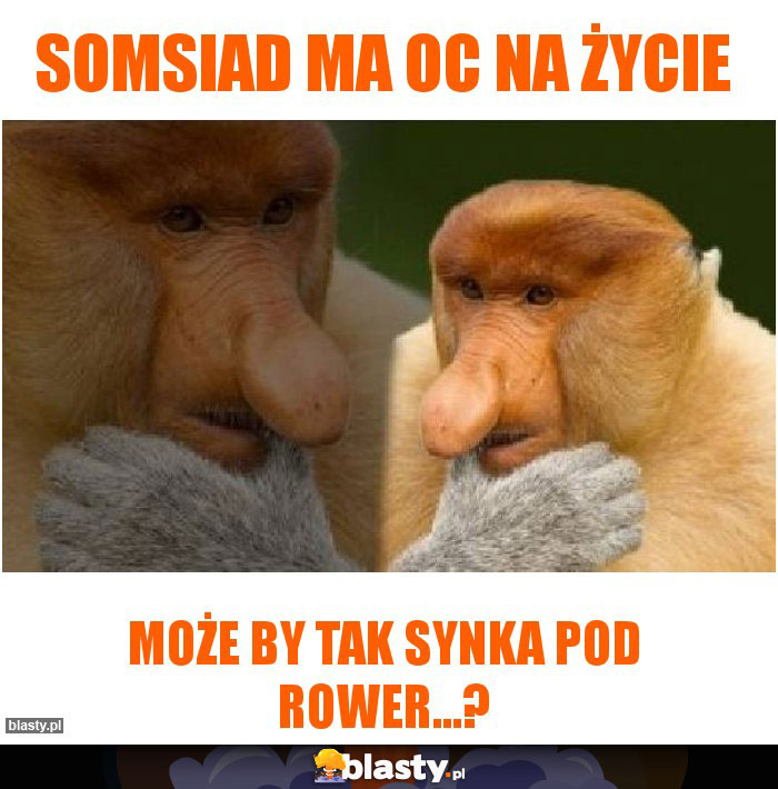 Somsiad ma oc na życie