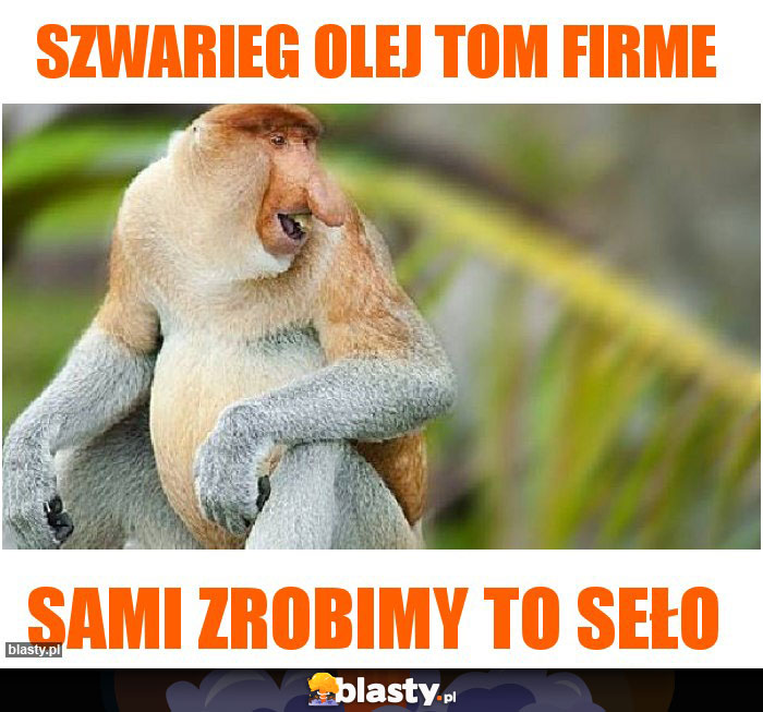 szwarieg olej tom firme