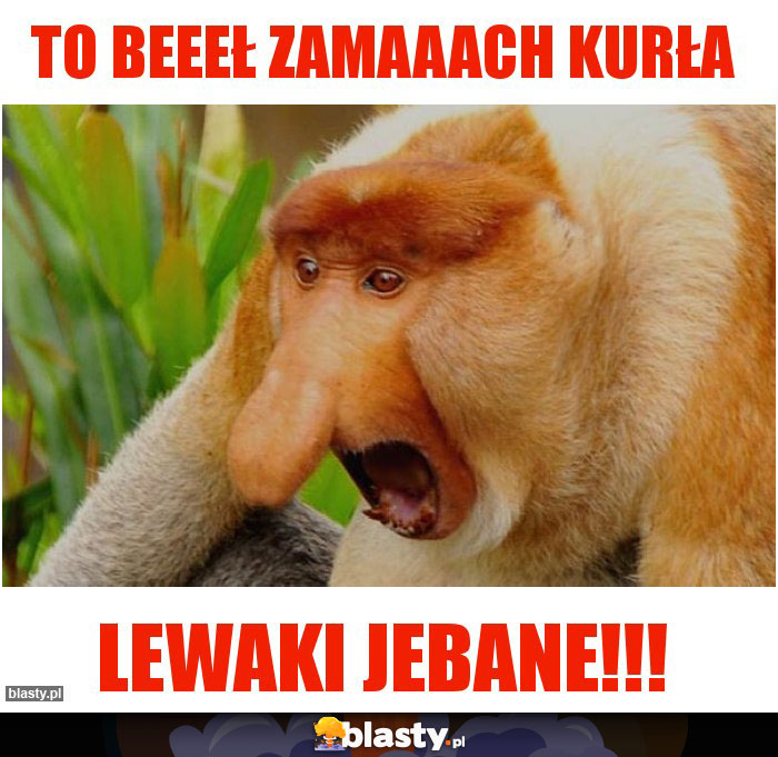 to beeeł zamaaach kurła