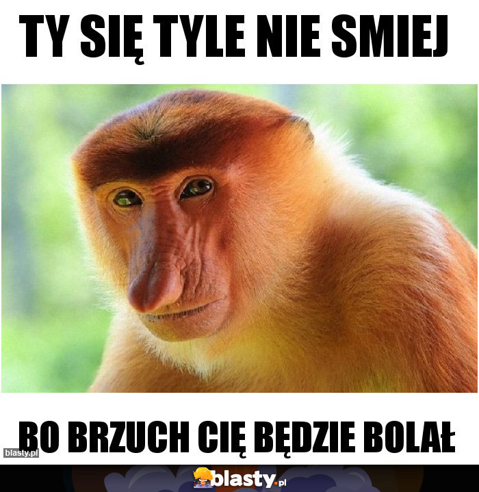Ty się tyle nie smiej