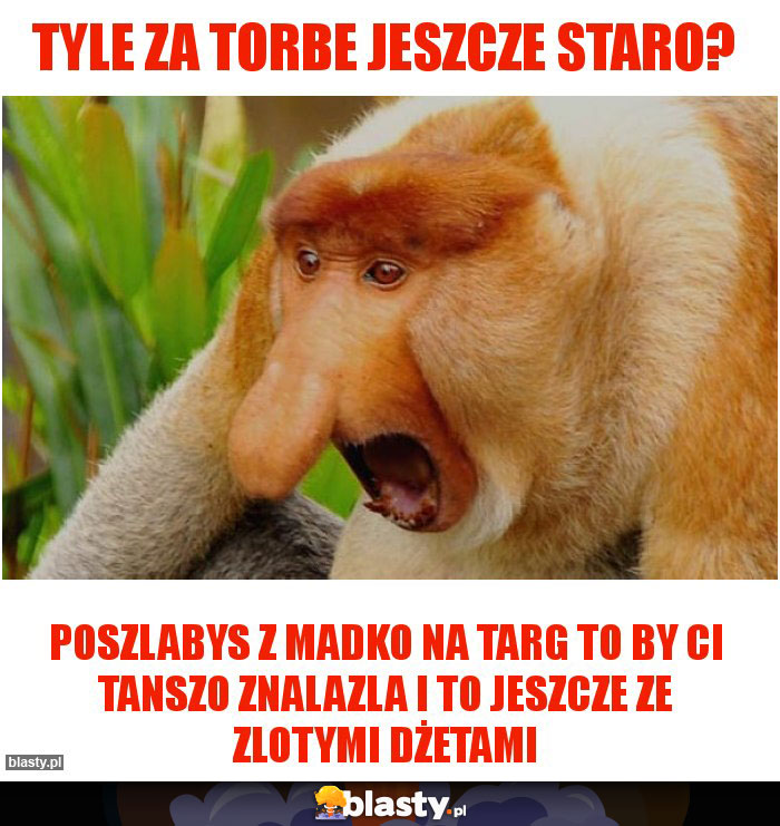 Tyle za torbe jeszcze staro?