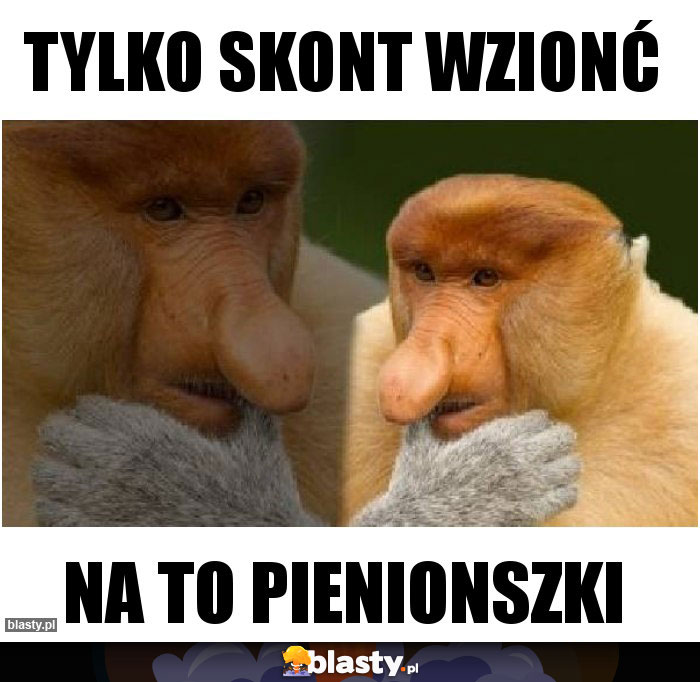 Tylko skont wzionć