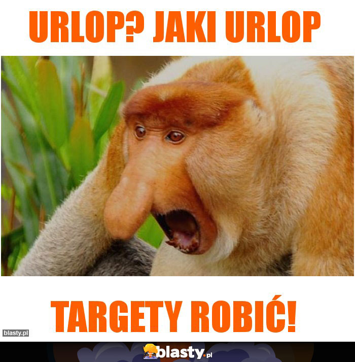 Urlop? Jaki Urlop