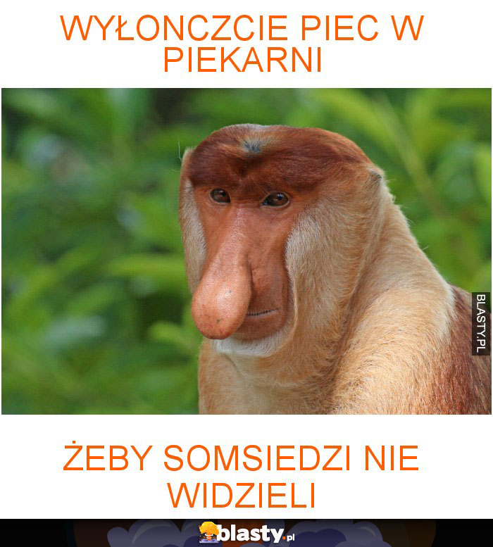 Wyłonczcie piec w piekarni