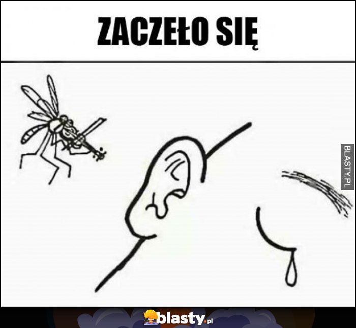 Zaczęło się