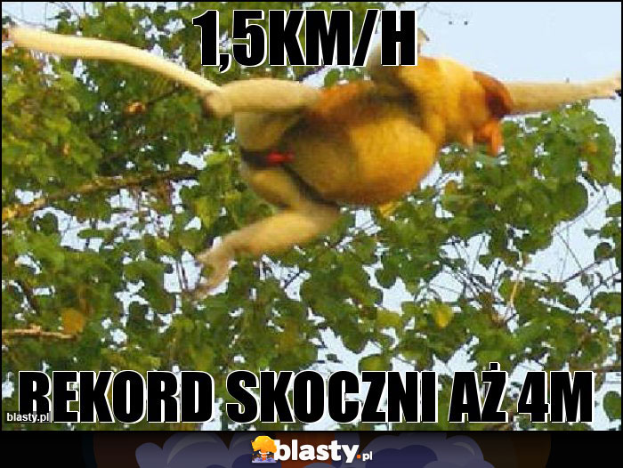 1,5km/h