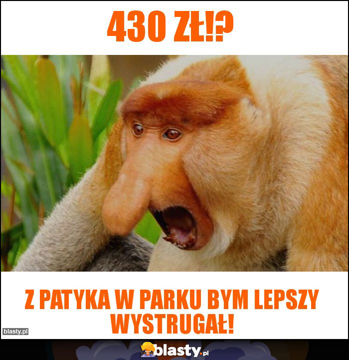 430 zł!?