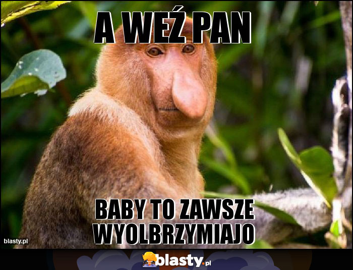 A WEŹ PAN