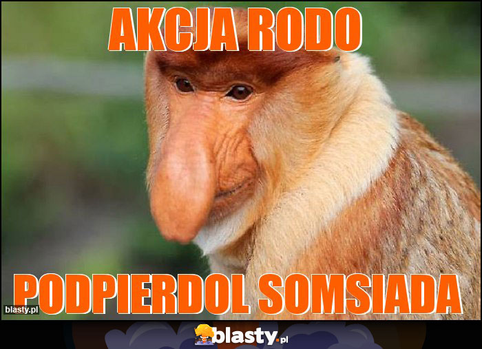 Akcja RODO