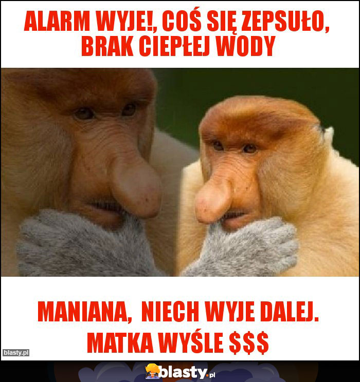 Alarm wyje!, coś się zepsuło, brak ciepłej wody