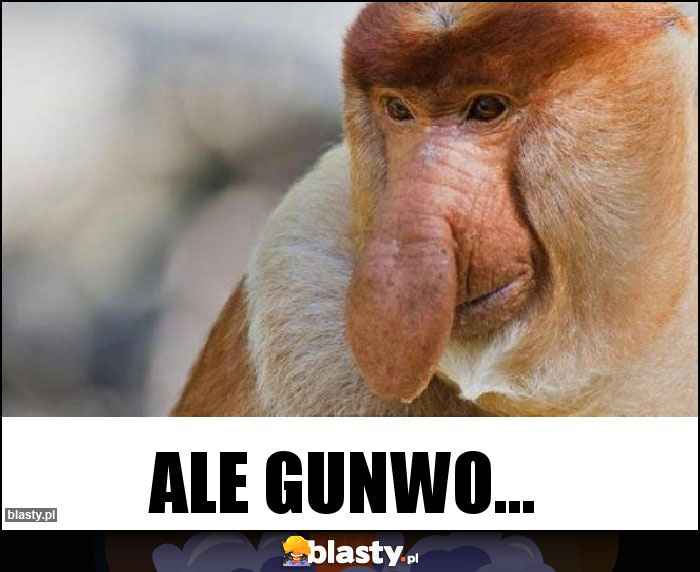 Ale gunwo...