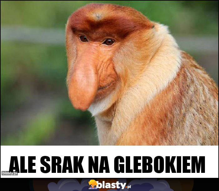 Ale srak na glebokiem