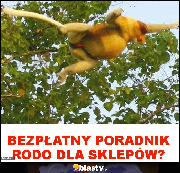 Bezpłatny poradnik RODO dla sklepów?