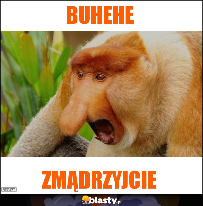buhehe