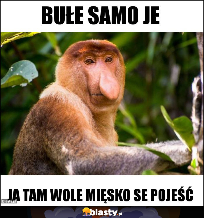 Bułe samo je