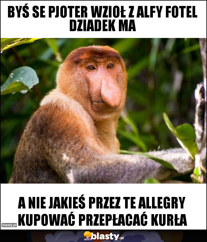 BYŚ SE PJOTER WZIOŁ Z ALFY FOTEL DZIADEK MA