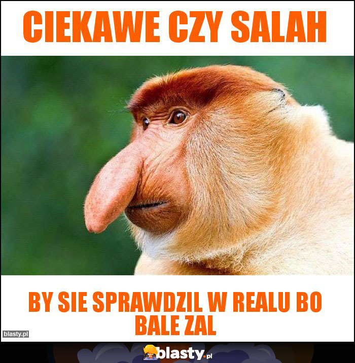 Ciekawe czy salah