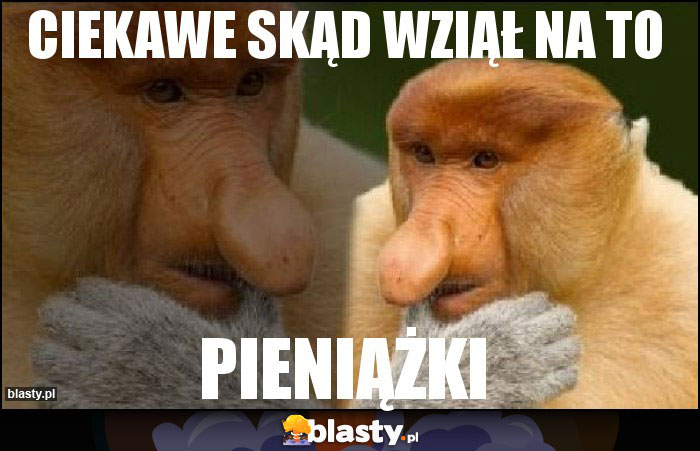 ciekawe skąd wziął na to