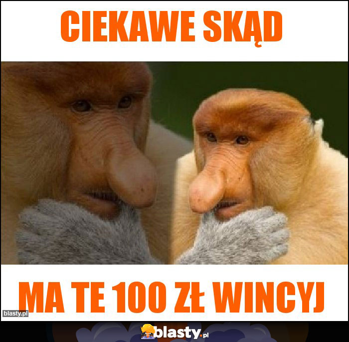 Ciekawe skąd
