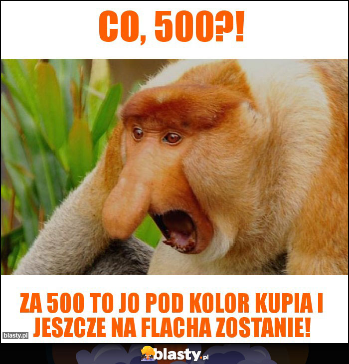 Co, 500?!