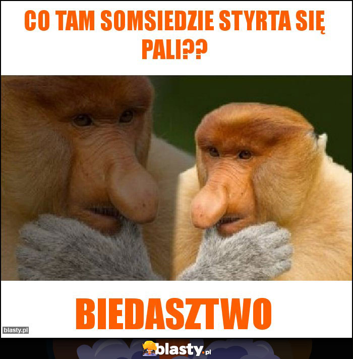 Co tam Somsiedzie styrta się pali??