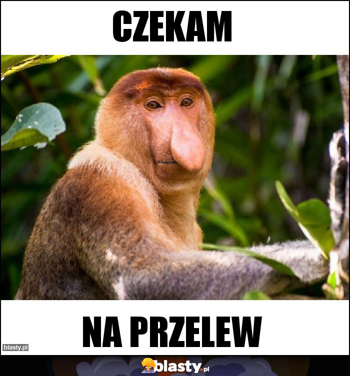 CZEKAM