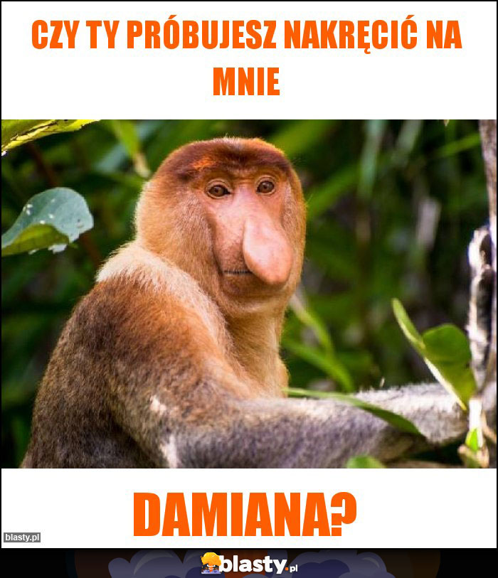 Czy Ty próbujesz nakręcić na mnie