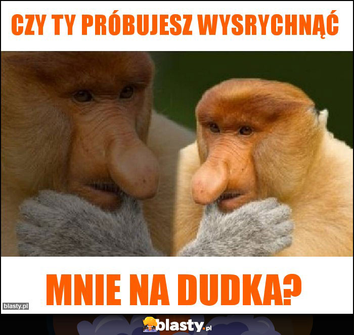 czy Ty próbujesz wysrychnąć