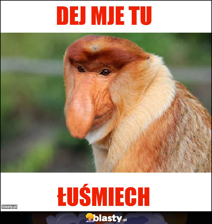 Dej mje tu