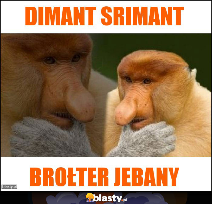 DIMANT SRIMANT