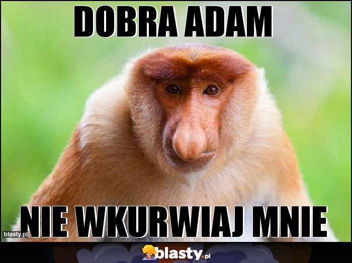 Dobra adam