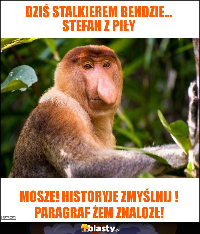 dziś stalkierem bendzie... stefan z piły