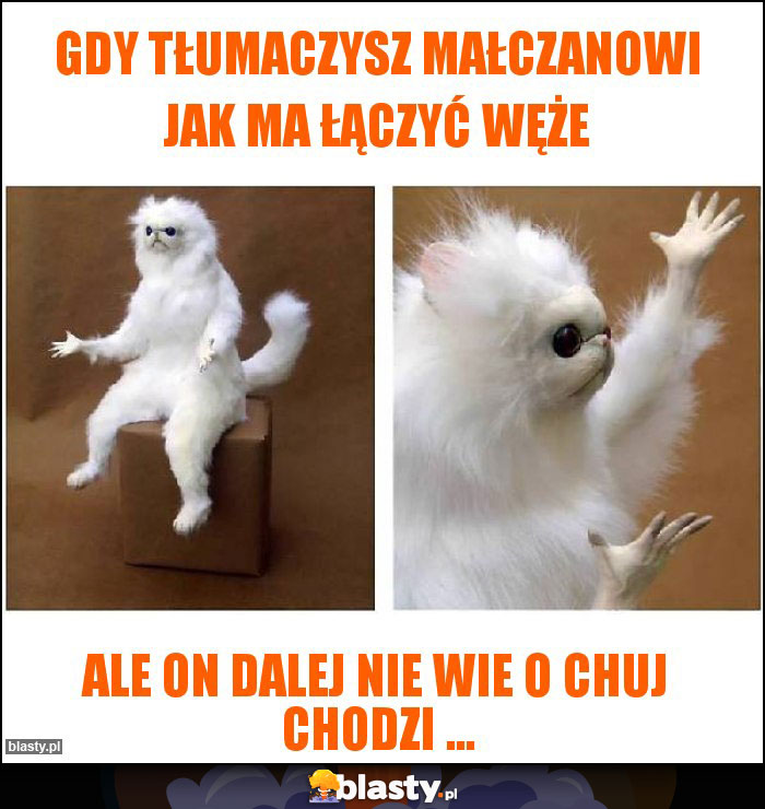 Gdy tłumaczysz Małczanowi jak ma łączyć węże