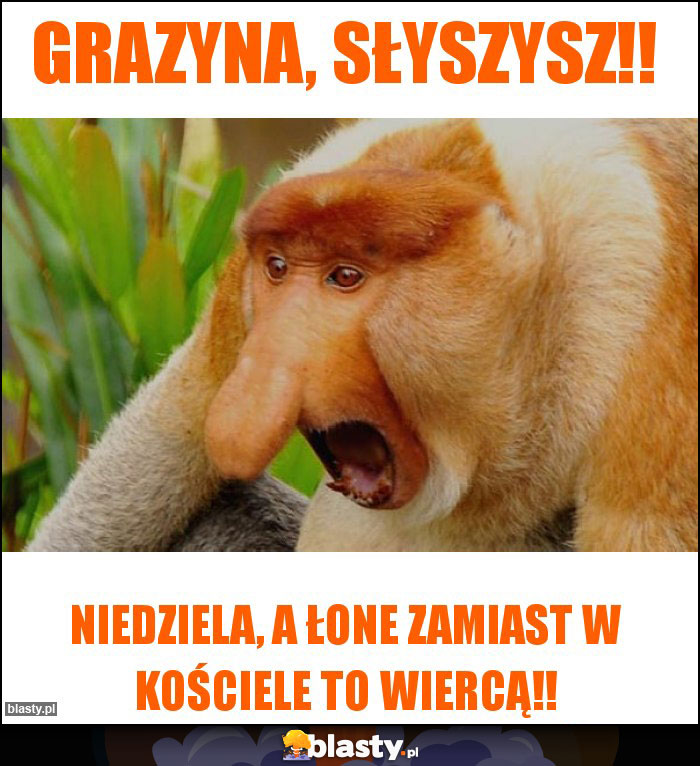 Grazyna, słyszysz!!