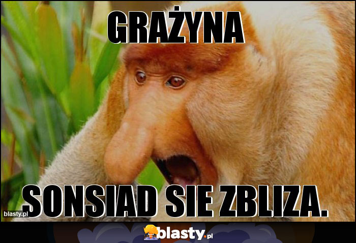 Grażyna