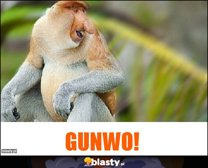 Gunwo!