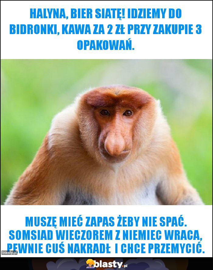 Halyna, bier siatę! Idziemy do Bidronki, kawa za 2 zł przy zakupie 3 opakowań.