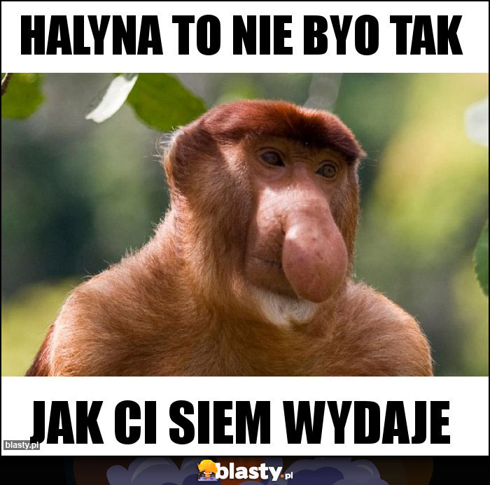 HALYNA TO NIE BYO TAK