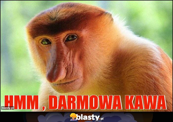 Hmm , darmowa kawa