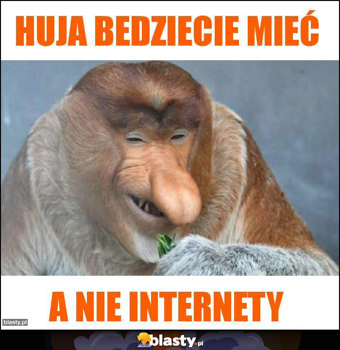 Huja bedziecie mieć